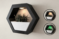 Hexagon Wall Planter
